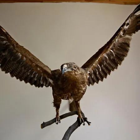 Hovanka Guest house Yaremche