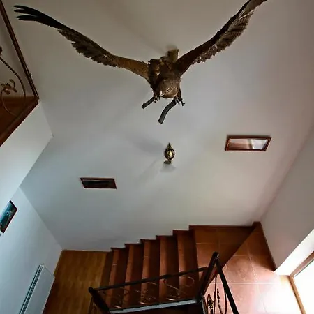 Hovanka Guest house Yaremche